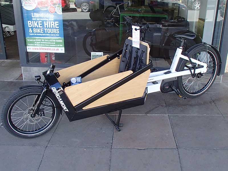 Cargo E Bike