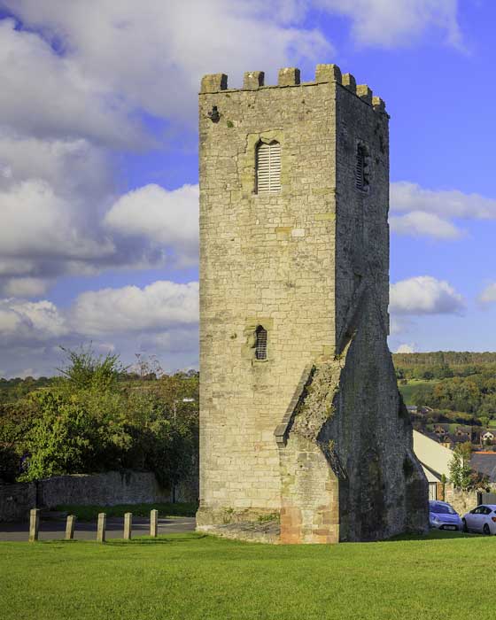 Ruthin Banner Portrait