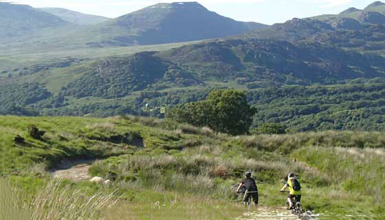 Mountainbike routes Bikewales route 11