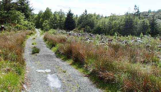 Mountainbike routes Bikewales route 2