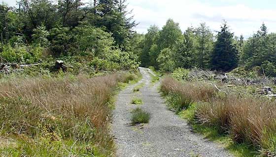 Mountainbike routes Bikewales route 6